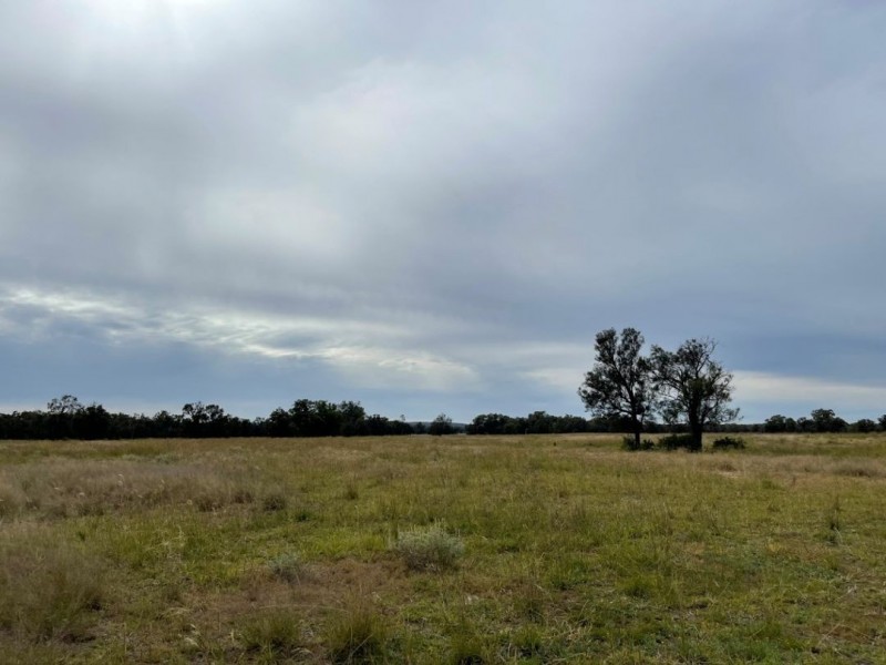 Oongarah, Pallamallawa NSW 2399