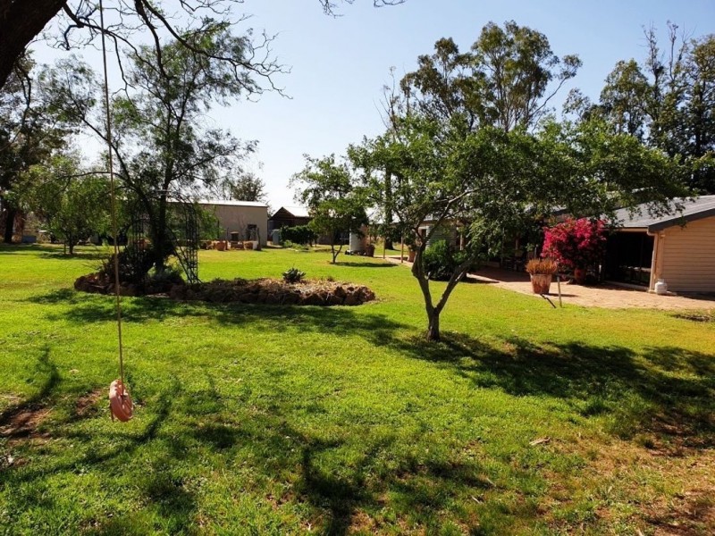 Oongarah, Pallamallawa NSW 2399