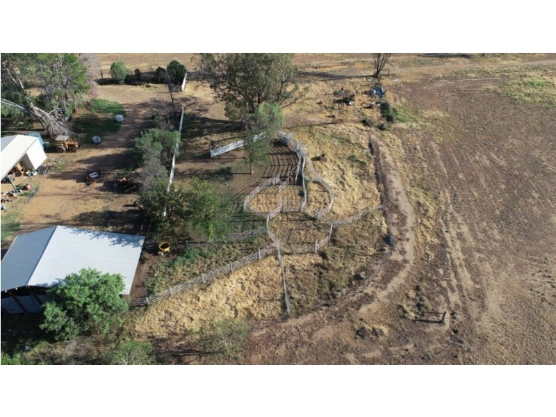 Oongarah, Pallamallawa NSW 2399