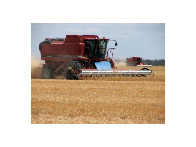 “Karinga” & “Wando”, Moree NSW 2400