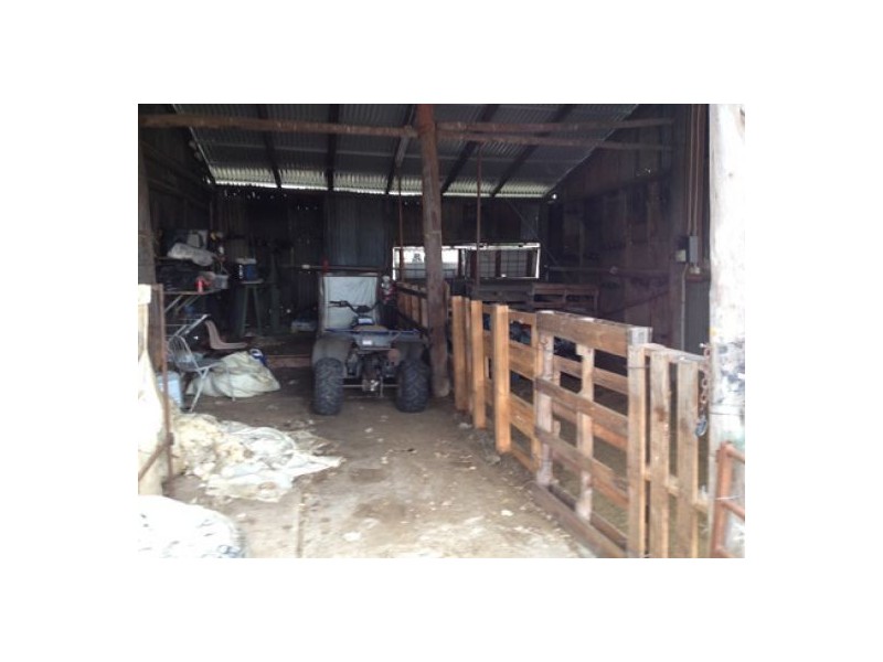 “Cuff & Collar”, Warialda, Moree NSW 2400