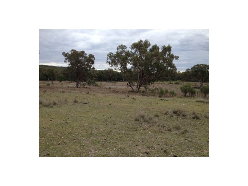 “Cuff & Collar”, Warialda, Moree NSW 2400