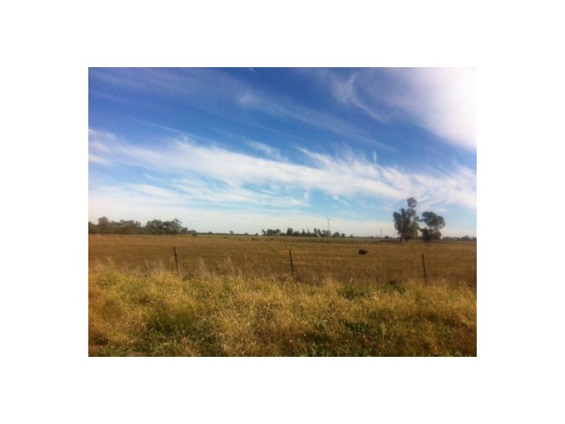 29 Wallon Street, Garah NSW 2405