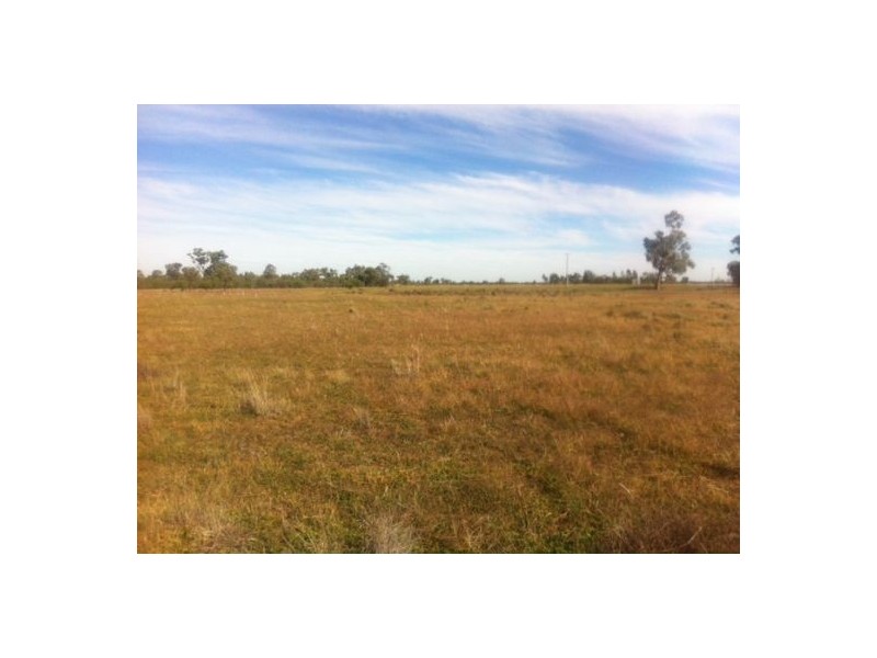 29 Wallon Street, Garah NSW 2405