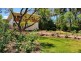 79 Albert Street, Moree NSW 2400