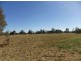 Lot 17 Kooroogamma Road, Moree NSW 2400
