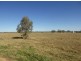Lot 17 Kooroogamma Road, Moree NSW 2400