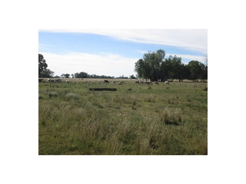 Moree NSW 2400
