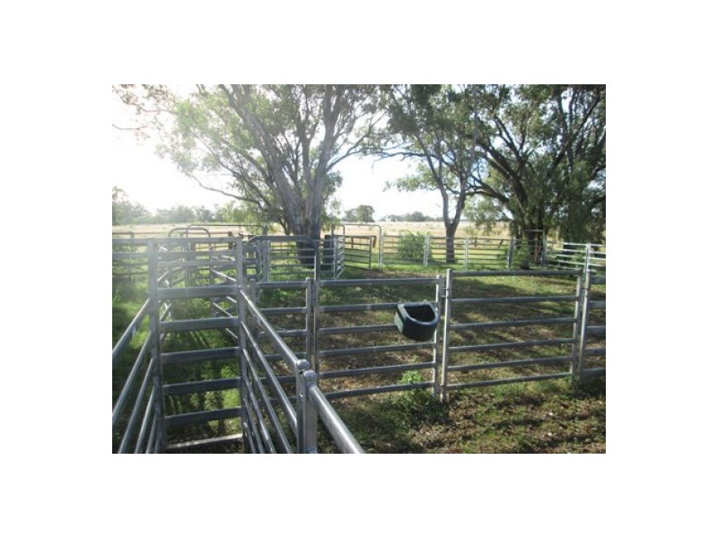 Moree NSW 2400