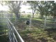 Moree NSW 2400