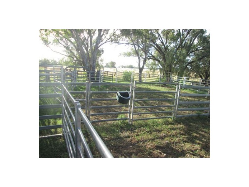 Moree NSW 2400