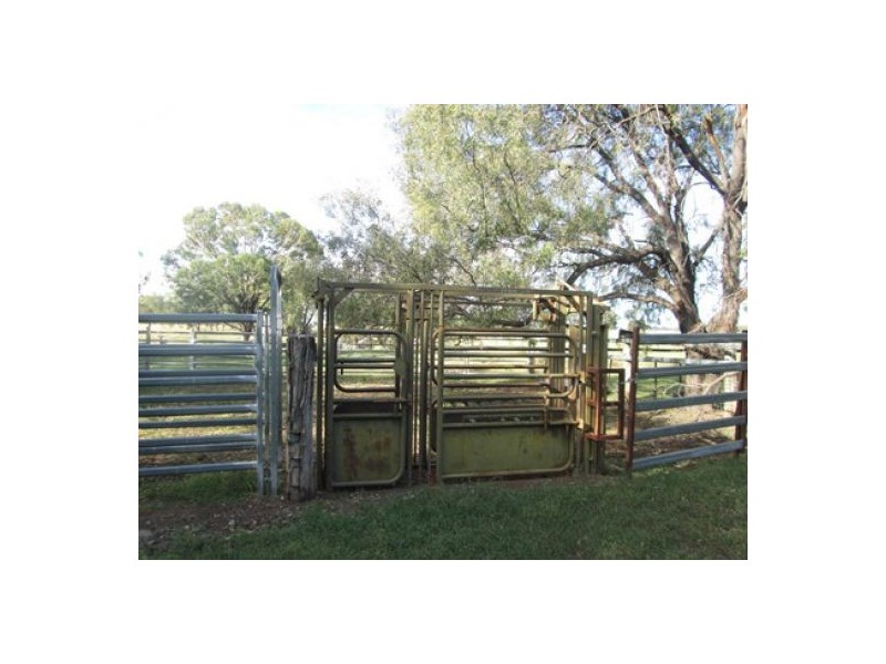 Moree NSW 2400