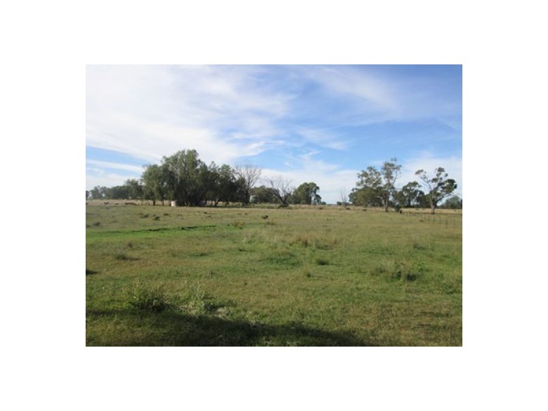 Moree NSW 2400