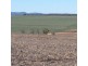 “Ena”, “Homebush”, “Goora” & “Garthowen”, Warialda NSW 2402