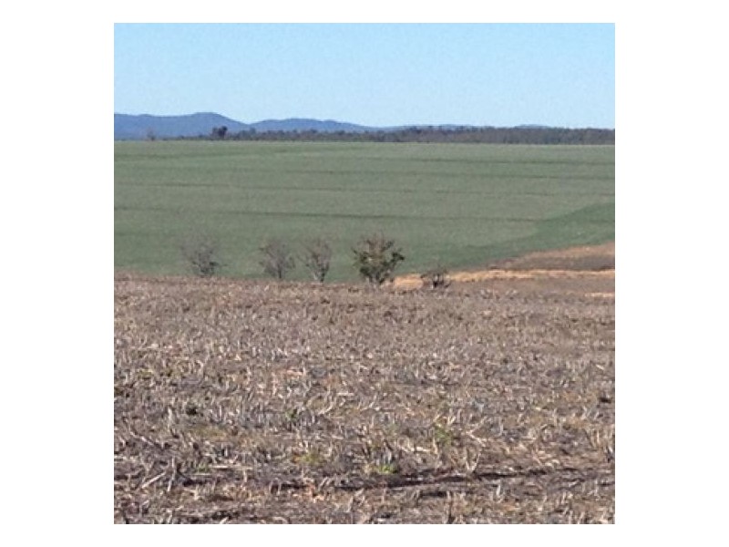 “Ena”, “Homebush”, “Goora” & “Garthowen”, Warialda NSW 2402