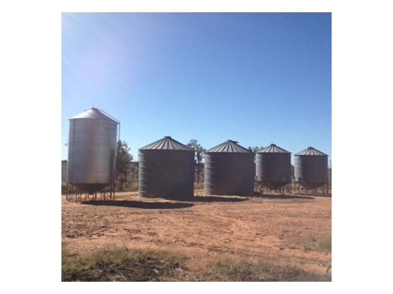 “Ena”, “Homebush”, “Goora” & “Garthowen”, Warialda NSW 2402