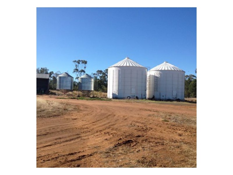 “Ena”, “Homebush”, “Goora” & “Garthowen”, Warialda NSW 2402