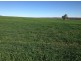 “Ena”, “Homebush”, “Goora” & “Garthowen”, Warialda NSW 2402
