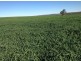 “Ena”, “Homebush”, “Goora” & “Garthowen”, Warialda NSW 2402