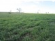 “Yagobie”, Gravesend NSW 2401