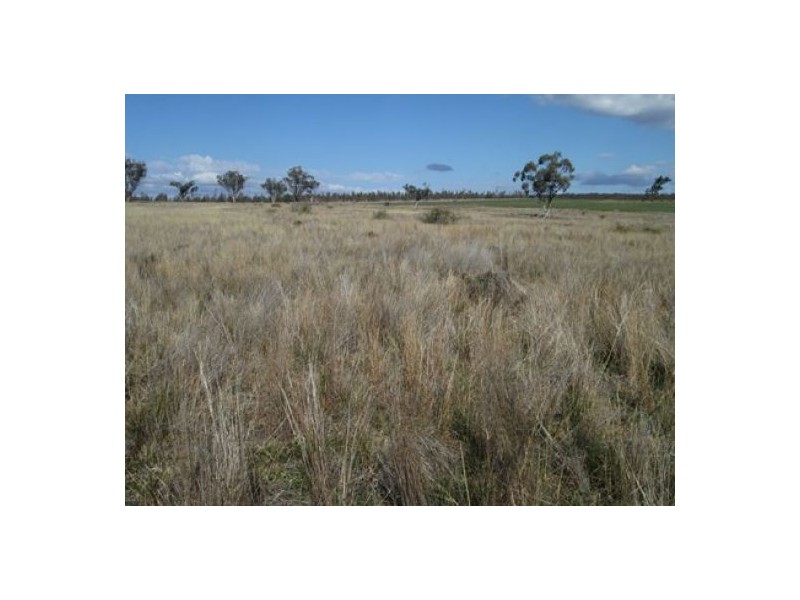 “Yagobie”, Gravesend NSW 2401