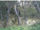 “Yagobie”, Gravesend NSW 2401