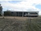 “Bradmill”, Moree NSW 2400