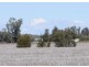 “Clifton” & “Nerang”, Gurley NSW 2398