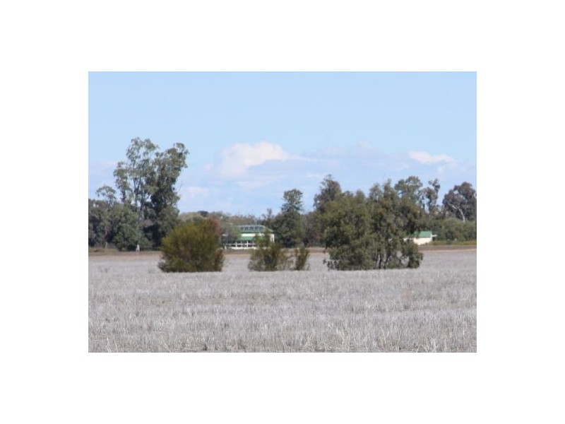 “Clifton” & “Nerang”, Gurley NSW 2398