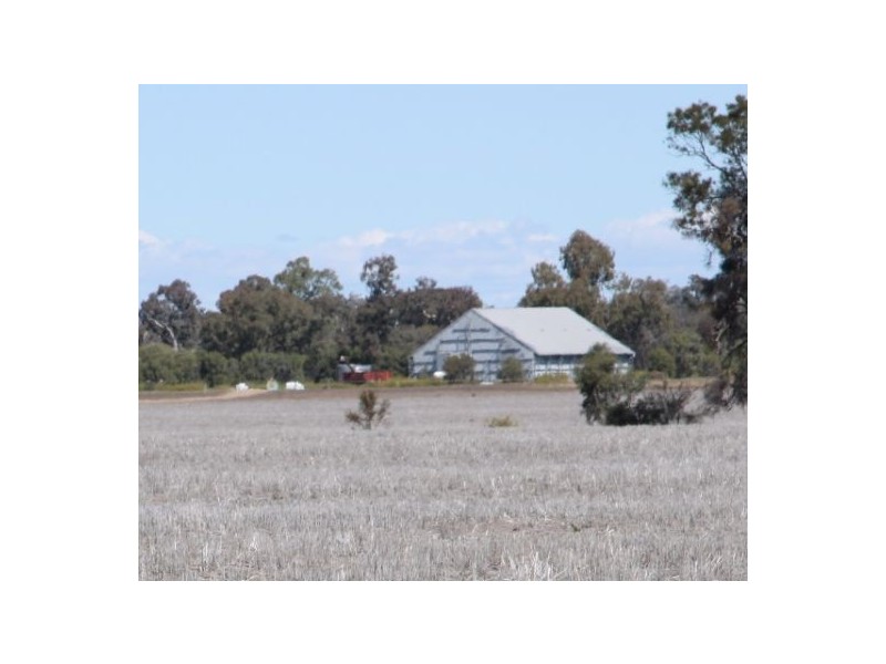 “Clifton” & “Nerang”, Gurley NSW 2398