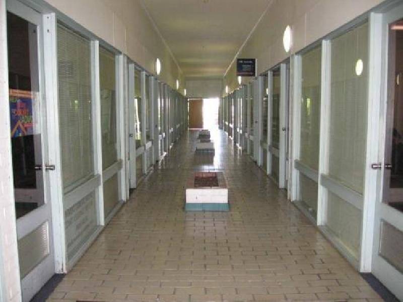 . BALO, Moree NSW 2400