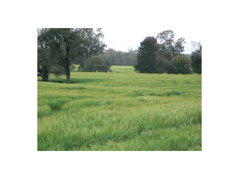 “Booraba”, North Star NSW 2408