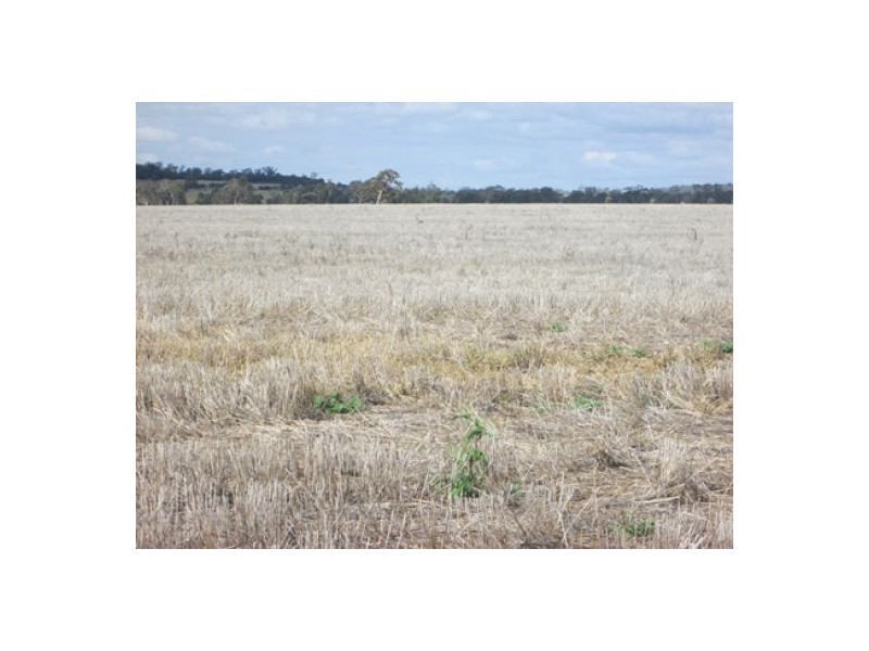 “Booraba”, North Star NSW 2408