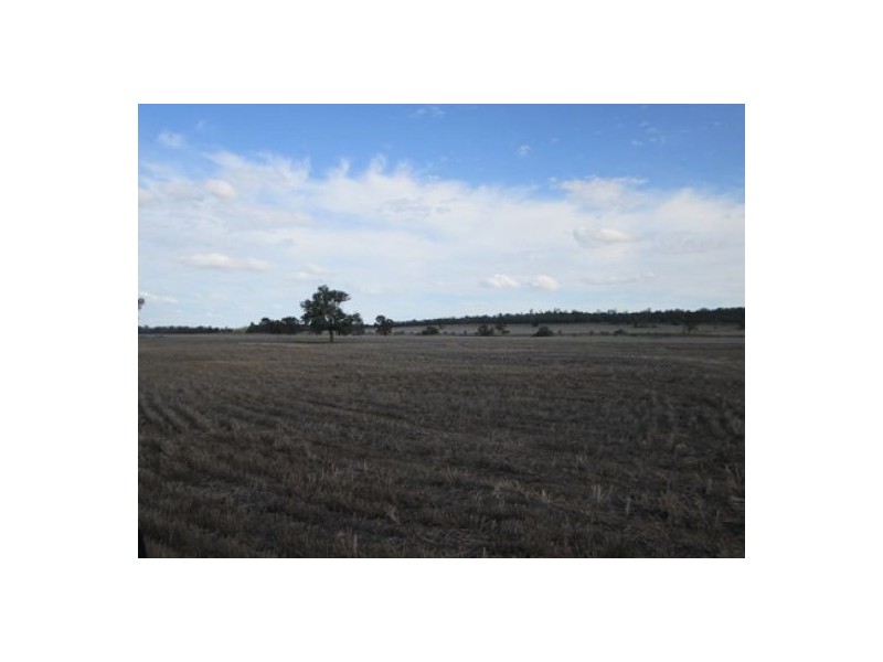 “Booraba”, North Star NSW 2408