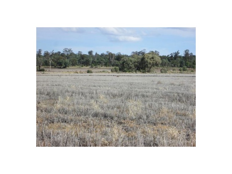 “Booraba”, North Star NSW 2408