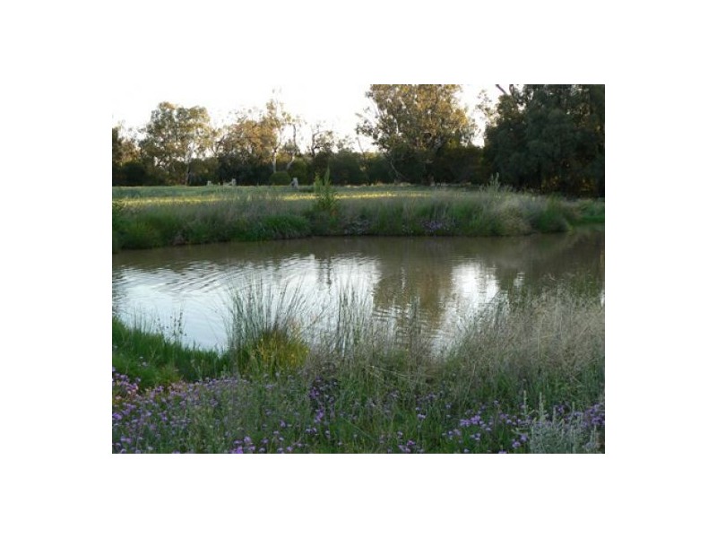 “Booraba”, North Star NSW 2408