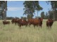 “Goodar Station”, Goondiwindi QLD 4390