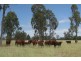 “Goodar Station”, Goondiwindi QLD 4390