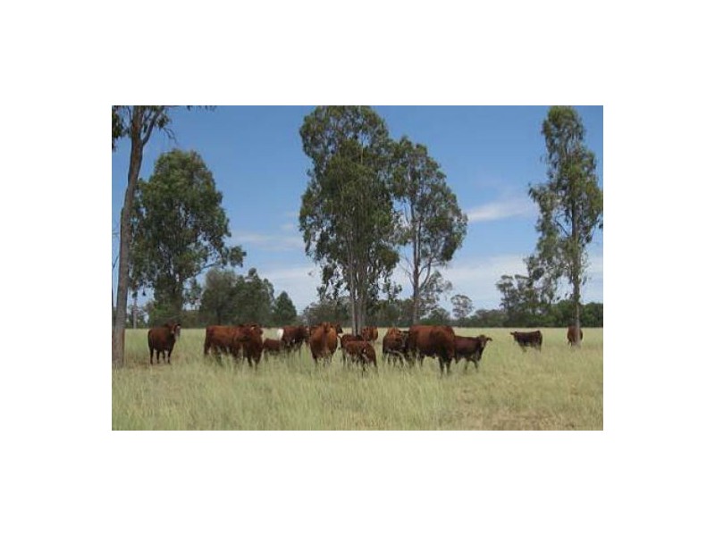 “Goodar Station”, Goondiwindi QLD 4390