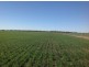 “Goodar Station”, Goondiwindi QLD 4390