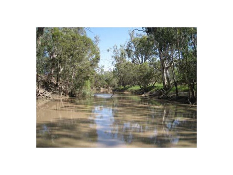 “Goodar Station”, Goondiwindi QLD 4390