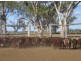 “Goodar Station”, Goondiwindi QLD 4390