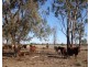 “Goodar Station”, Goondiwindi QLD 4390