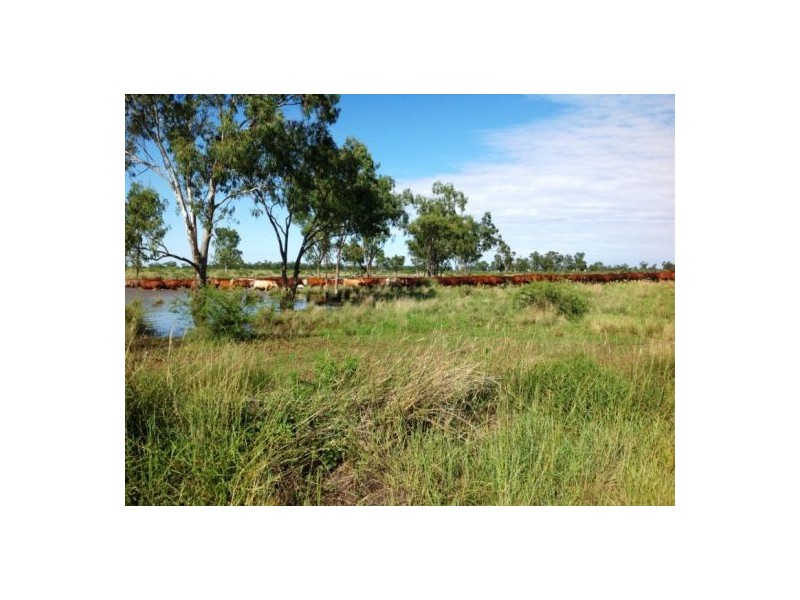 “Boonal Station”, Boggabilla NSW 2409
