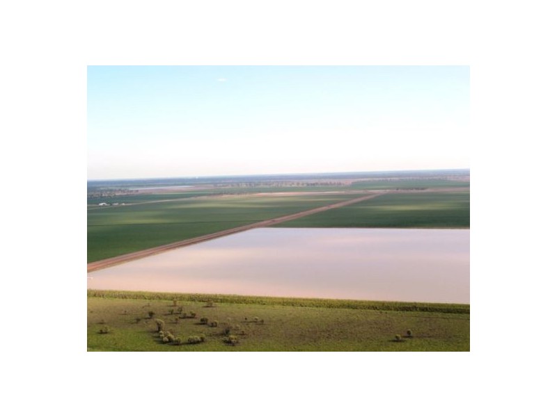 “Boonal Station”, Boggabilla NSW 2409