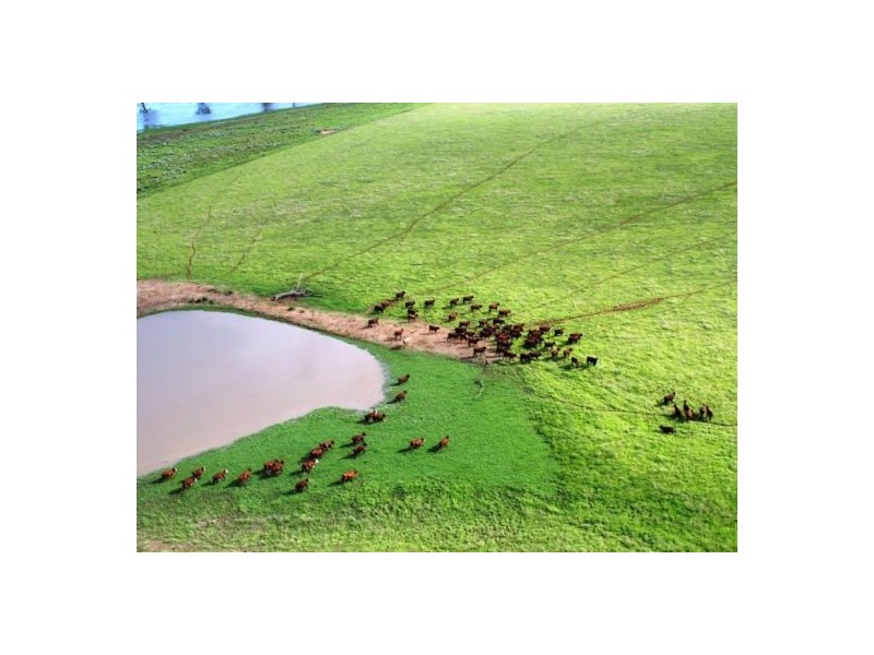 “Boonal Station”, Boggabilla NSW 2409