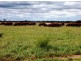 “Boonal Station”, Boggabilla NSW 2409
