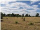 Lot 33 Bendygleet Road, Moree NSW 2400