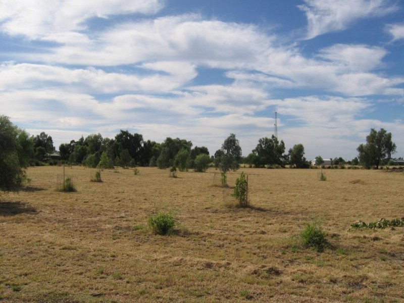 Lot 33 Bendygleet Road, Moree NSW 2400