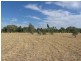 Lot 33 Bendygleet Road, Moree NSW 2400